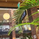 전북유도관 이미지