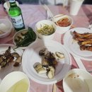 더비치 필로스펜션 이미지