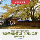 정현축산 | 보령 가을 추천 여행지 '청라은행마을'과 '신경섭 고택' 놀러와~보령!