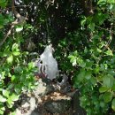 공천포 포구 이미지