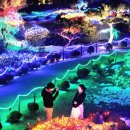 별빛정원 - 통영시 제암길 24 | 별빛정원