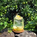 효돈천 | 쇠소깍산물관광농원 산물카페 제주 서귀포 감성 후기