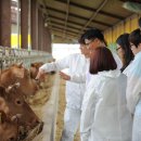 연암농장3 이미지