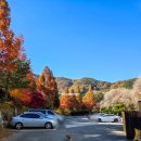 파리바게뜨하동점 | 하동 삼성궁 근처 숙소 추천 비바체리조트 가성비 괜찮은 곳