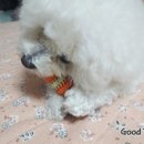 뚱땅뚱땅 이미지