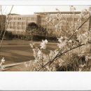 오륙도중학교 이미지