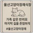 이별공간 | 울산고양이장례식장, 마지막 이별을 존중하는 공간