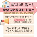 제천공인중개사사무소 이미지