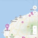 판포레스트 이미지