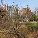 구름어린이공원 이미지