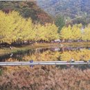 황금빛부동산중개사무소 이미지