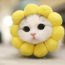 오옹