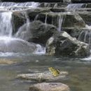 원용욱농장 이미지