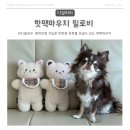 퍼피베베 | [내돈내산] 강아지핫팩파우치 - 바디필로우·애착인형 가능한 "디얼퍼피 필로비"