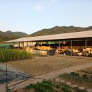 월항목장 이미지