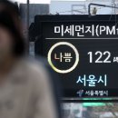 미세먼지 노출되면 정상세포가 유전자 변이… 폐암 확률 높아진다 이미지