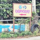 하늘내린농장 이미지