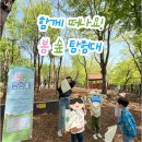 숲실천 | [후기] 함께 떠나요! 봄 숲 탐험대
