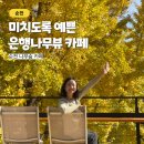 순천 나무숲 | 순천 은행나무 카페 나무숨 미치도록 예쁜 뷰