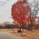 호동 초등학교 병설유치원 이미지