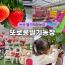 아인농장 | 논산 딸기체험농장 또로롱딸기농장 내돈내산 12월 방문후기 추천여부