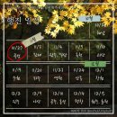 곡성-013 티스토리