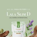 라라코리아 - 서귀포시 | 라라코리아