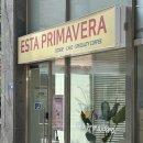 에스타 프리마베라(esta primavera) 네이버블로그