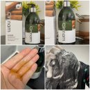 신남케어 | 신남 감태 샴푸 후기 제주 감태 두피케어 샴푸 추천 (계피 추출물 500ml)