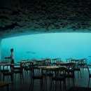 노르웨이식당 이미지