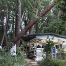 솔밭집 | 부산대 근처 맛집 🍲 산성 솔밭집 칼국수 후기