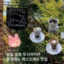 신성동 수천이들 근린공원 | 연차쓰고 다녀왔던 대전 에스프레소바 검은새끼돼지