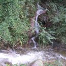 산속골농장 이미지