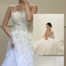 더바오컴퍼니 이미지