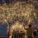 이사부크루즈(1층) 이미지