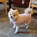 면목동-153 이미지