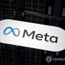 메타