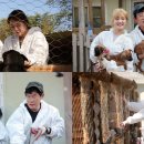 이경규농장 이미지