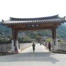 일주문 Daum카페