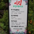 자연음식문화원