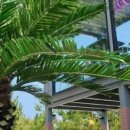 카페플리즈 이미지