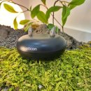 킴스보청기 이미지