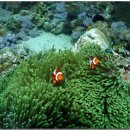 포낙보청기수원센터 이미지