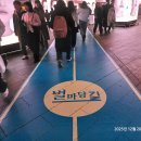 서울 강남구 Coex 별마당도서관 여행. 이미지