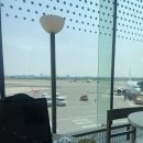 [제주도 3박4일] Day 1 | 자고 먹고 또 잔 제주 에어비엔비 추천