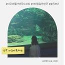 법인영아쿠아 | 일산 아이랑 갈만한 곳 아쿠아플라넷 푸드코트 식당 솔직 후기