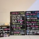 고양이별 캣 카페 이미지