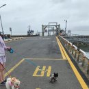 하얀고래 in 백야 이미지