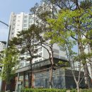 브라운스톤험프리스아파트 주변 이미지