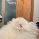 주주동물병원 이미지